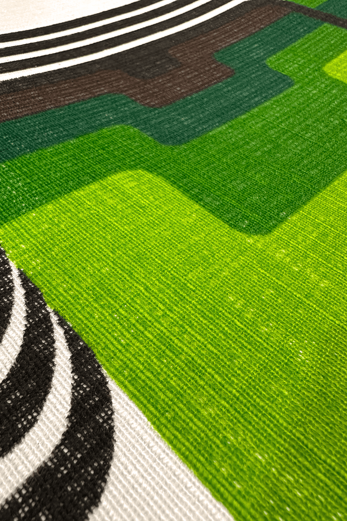 Close-up of a green and brown patterned rug with black and white stripes.