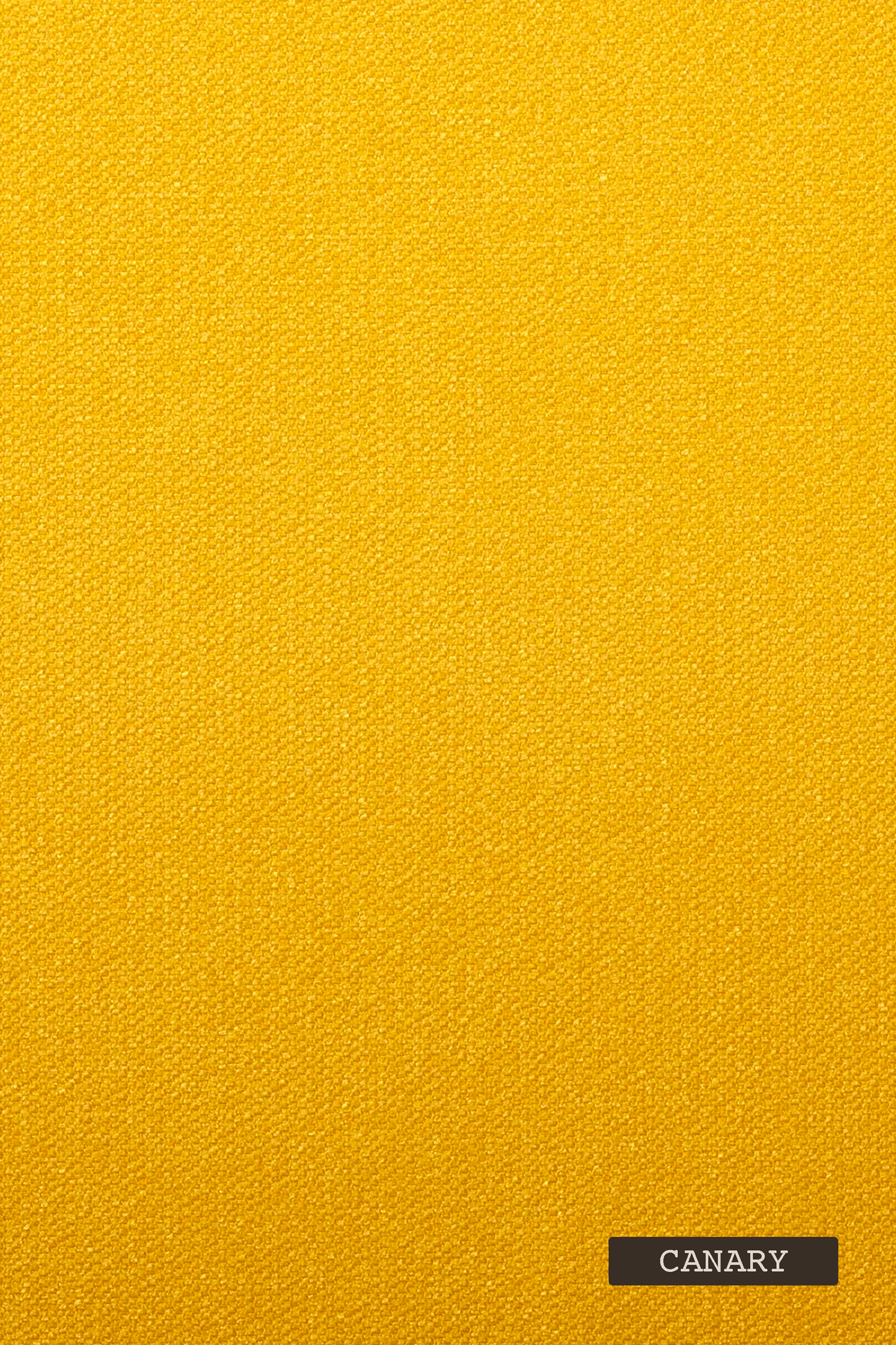 Solid canary yellow color swatch with a label at the bottom