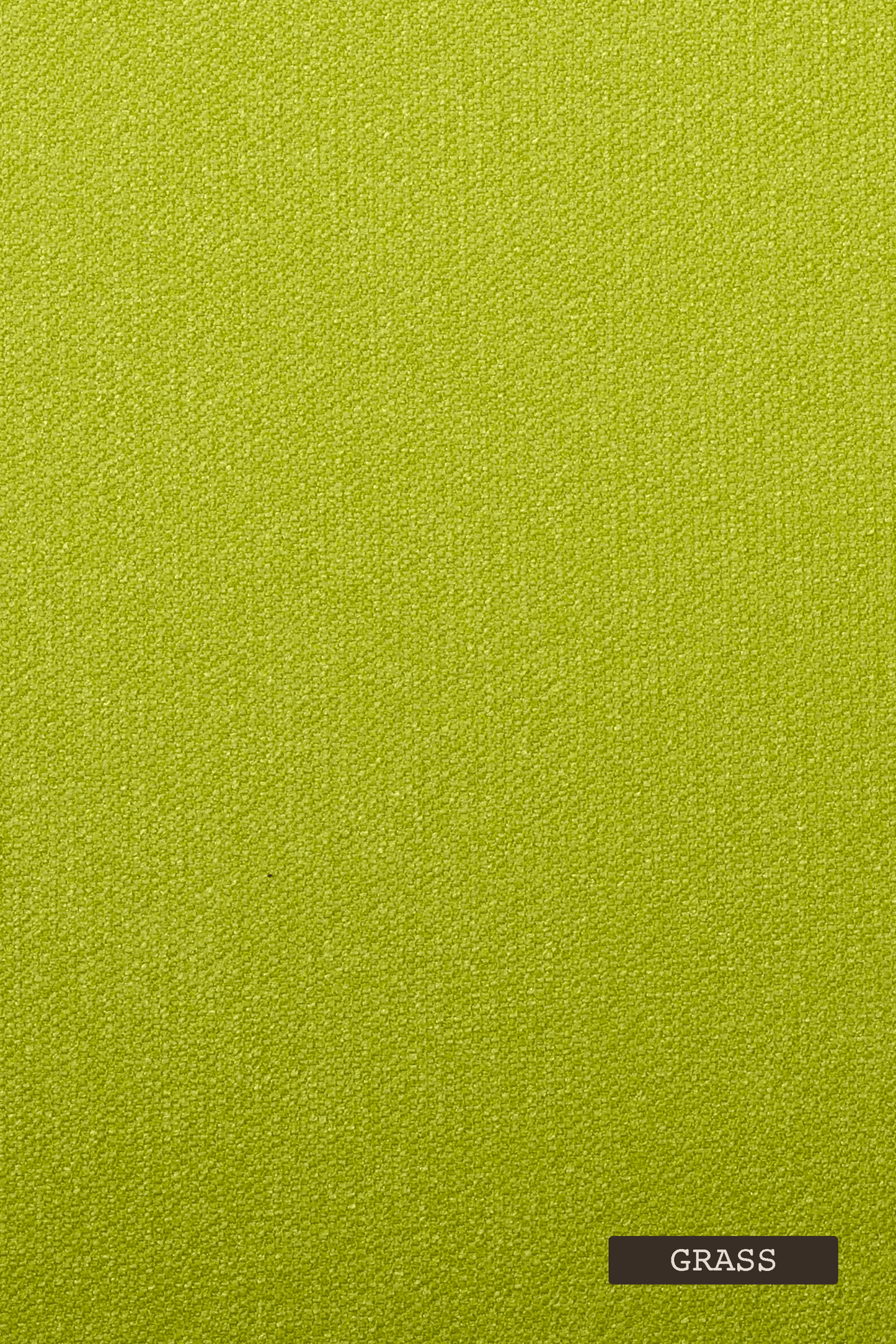 Solid grass green color swatch with a label at the bottom