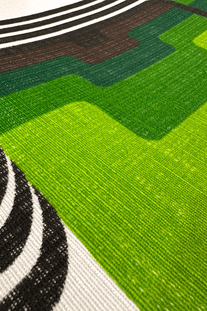 Close-up of a green and brown patterned rug with black and white stripes.